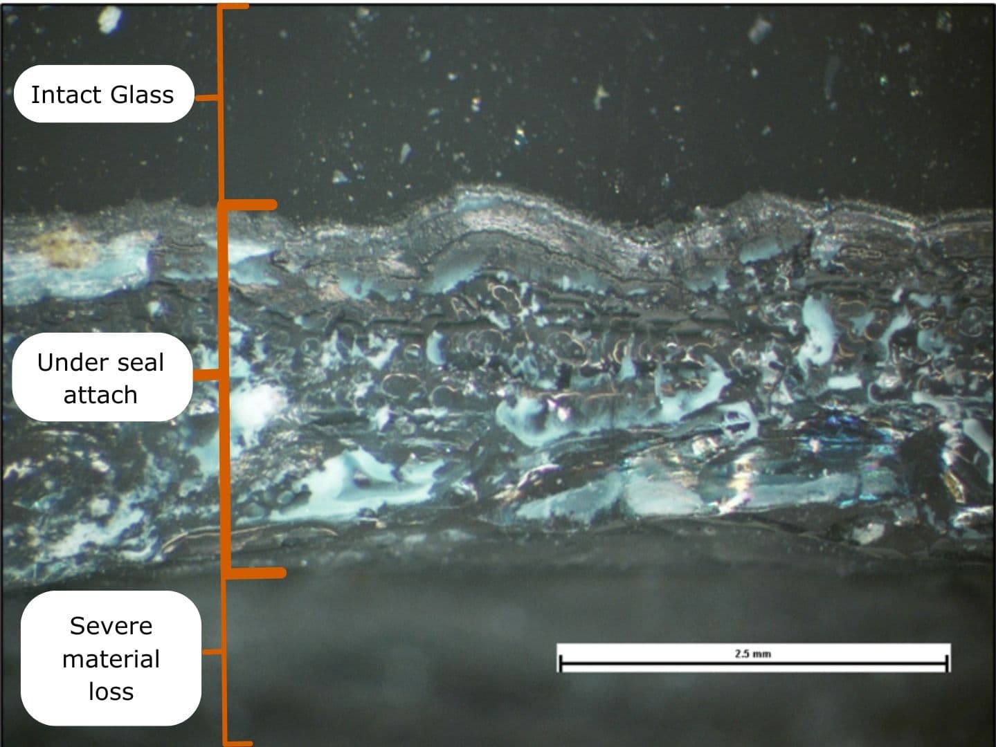 Erosion and Corrosion Wear 5 | Failure Mechanism | SureScreen Materials