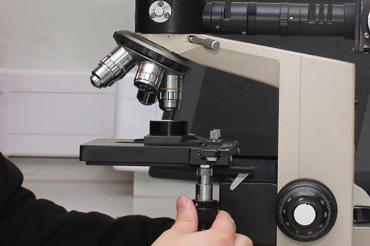 Image of microscopic examination | SureScreen Materials