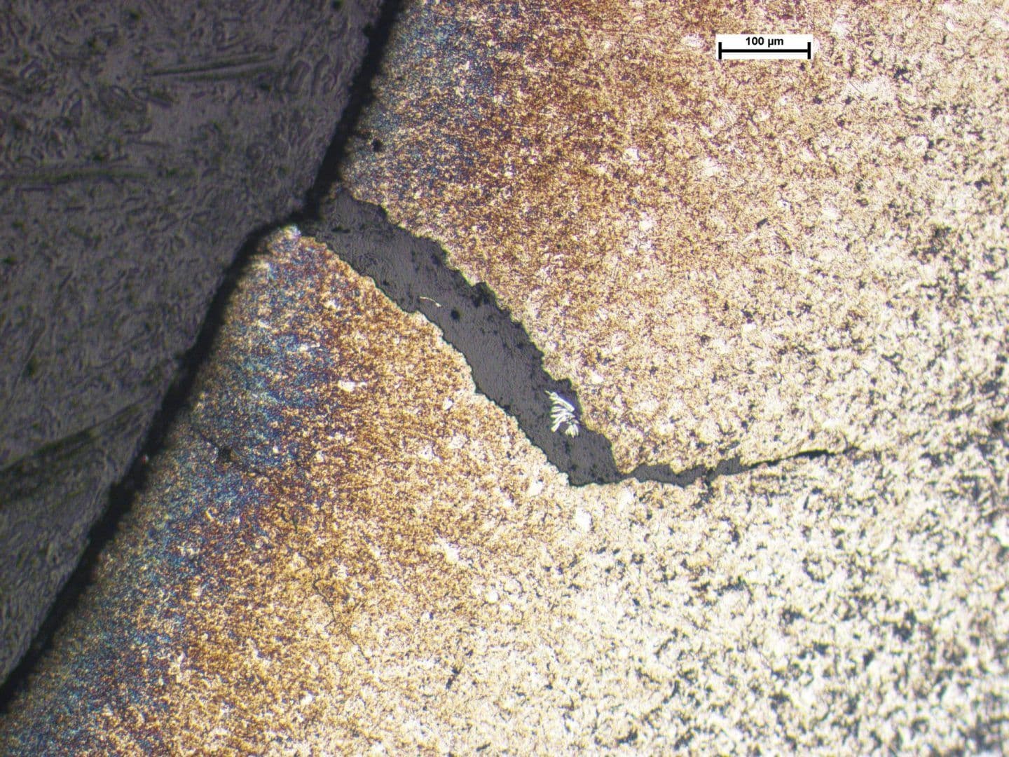 Overload Cracking of Gear | Library of Failures | SureScreen Materials